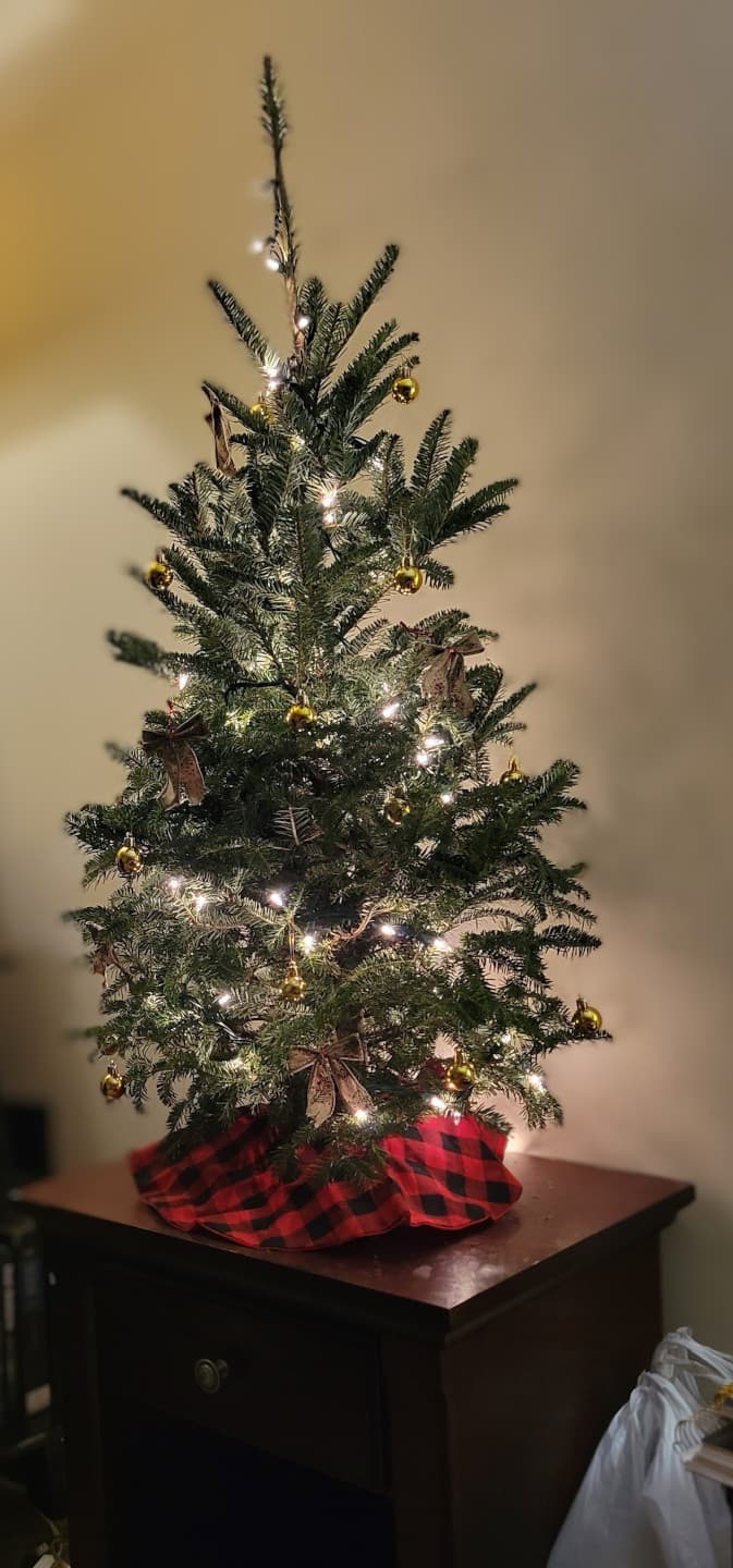 xmas-tree